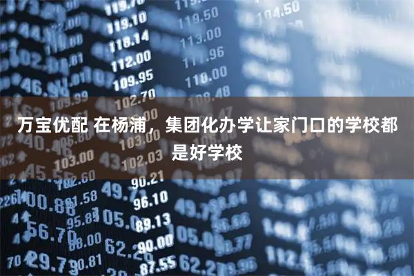 万宝优配 在杨浦,集团化办学让家门口的学校都是好学校